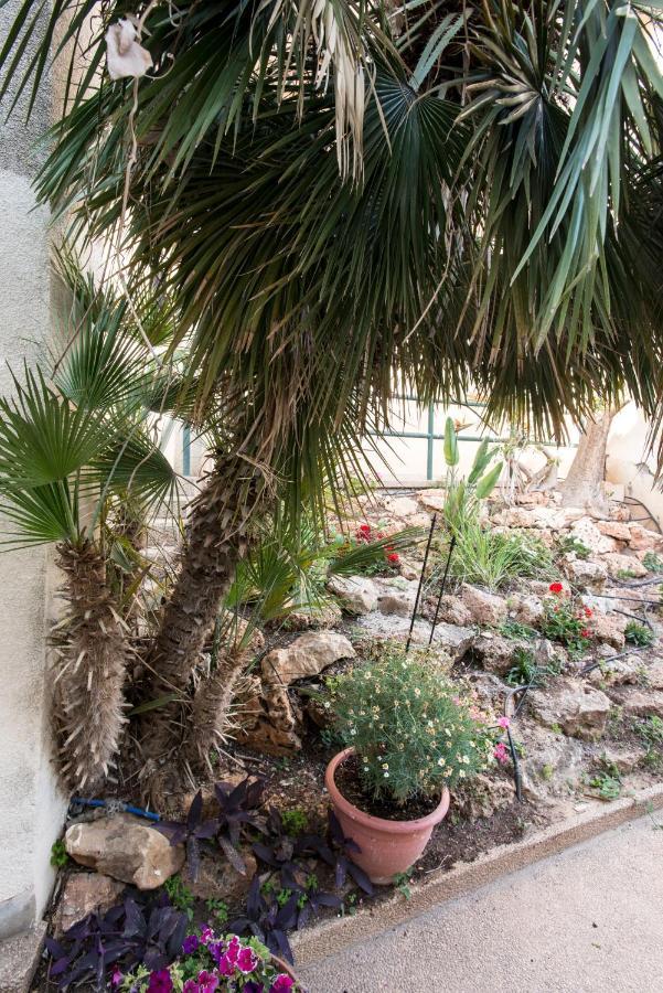 Eshkol Housing Haifa - Luxury Villa Panoramic Sea View Екстер'єр фото
